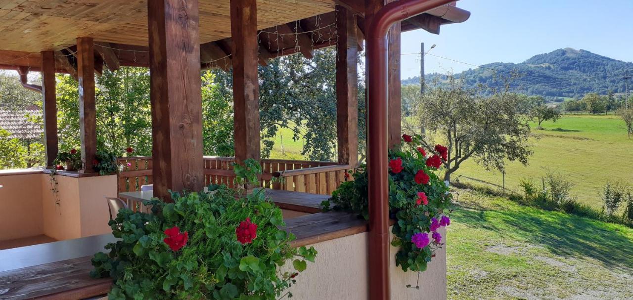 Pensiunea Agroturistica Ica Valea Drăganului Εξωτερικό φωτογραφία