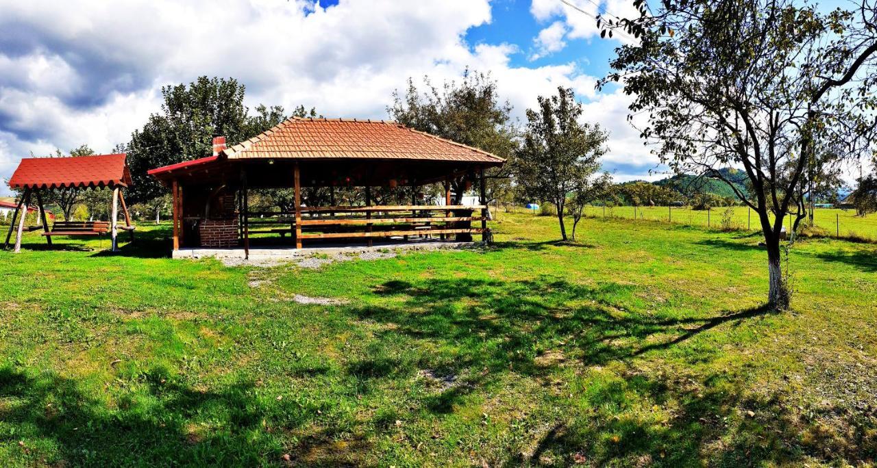 Pensiunea Agroturistica Ica Valea Drăganului Εξωτερικό φωτογραφία