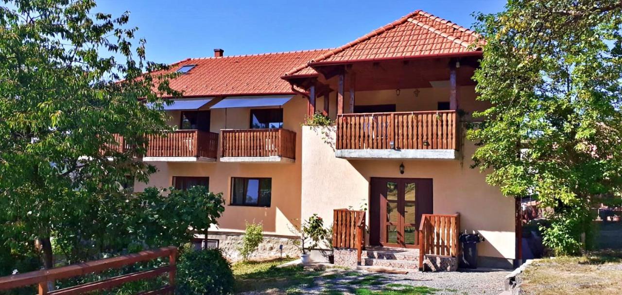 Pensiunea Agroturistica Ica Valea Drăganului Εξωτερικό φωτογραφία