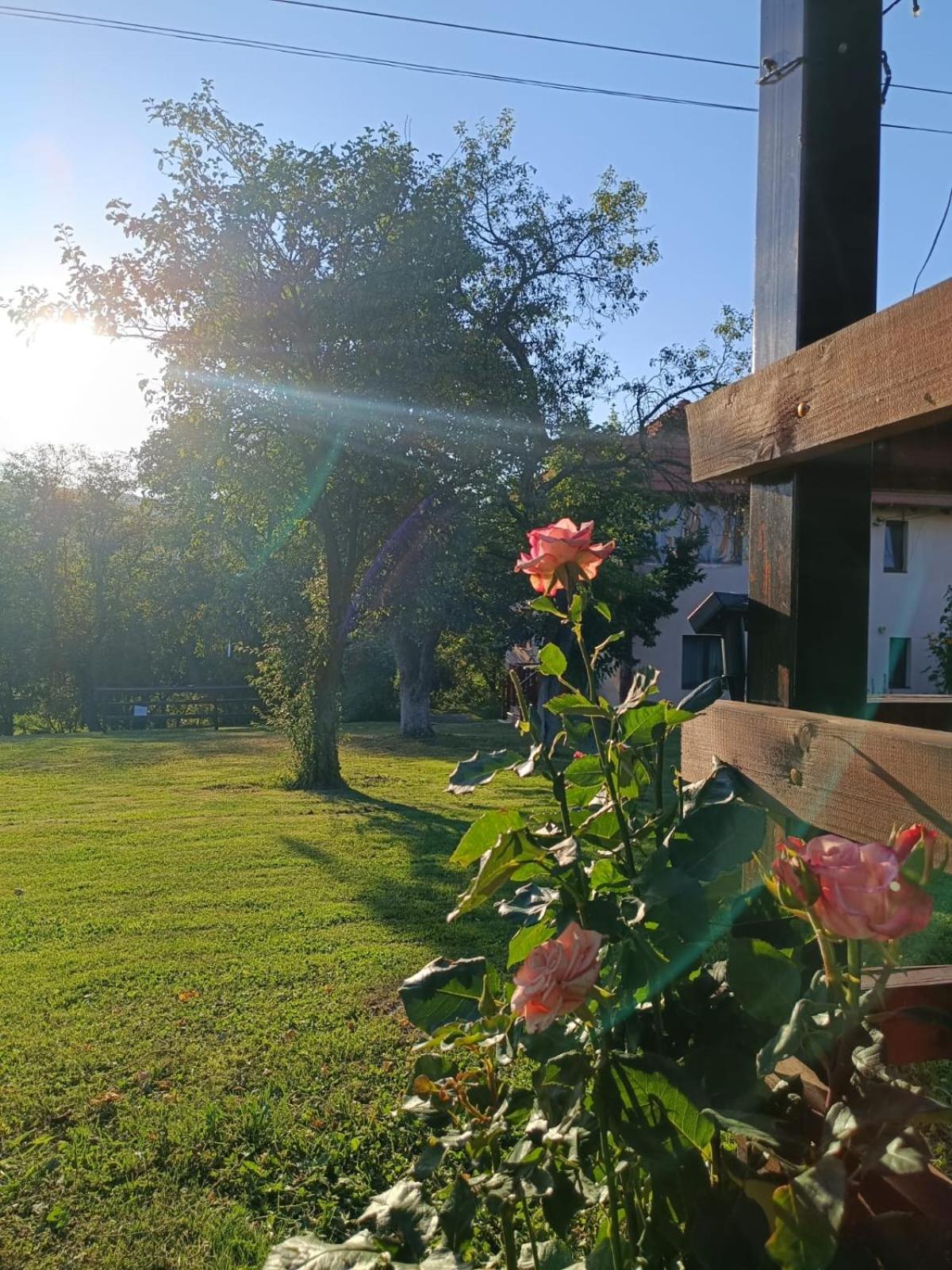 Pensiunea Agroturistica Ica Valea Drăganului Εξωτερικό φωτογραφία