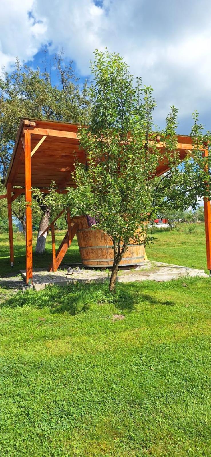 Pensiunea Agroturistica Ica Valea Drăganului Εξωτερικό φωτογραφία